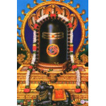 Shiva Garland