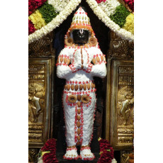 Hanuman Butter Alankaram