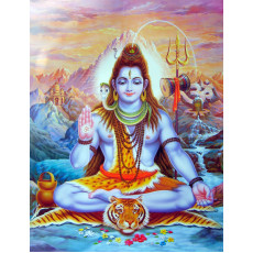 Shivarathri - All Day sponsor